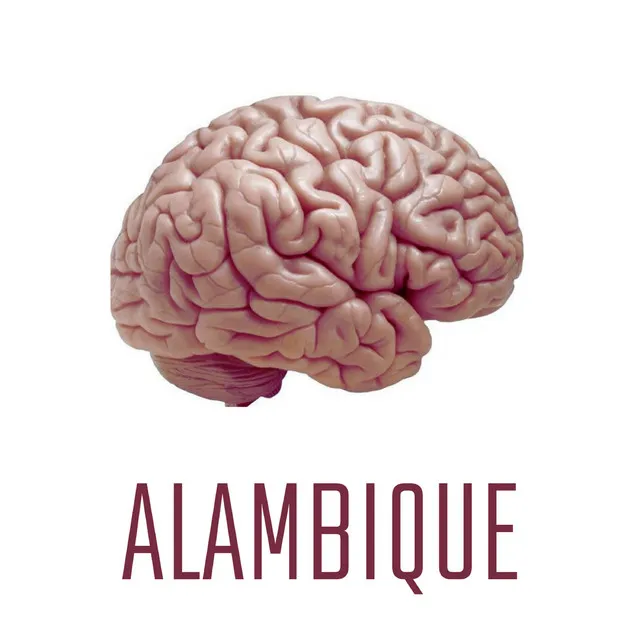 Alambique