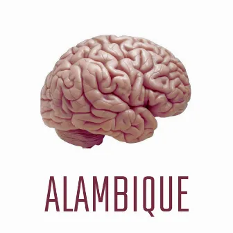 Alambique by Tavo Rose