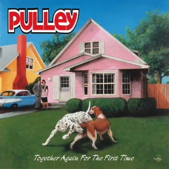 Together Again For The First Time by Pulley