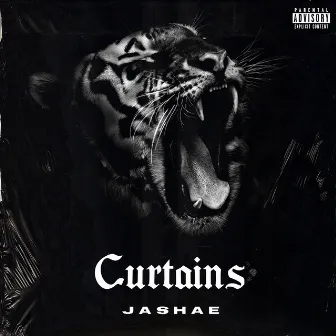 Curtains by Jashae