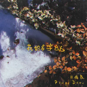 花の名前 8.6 by Prune Deer