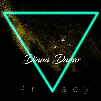 Privaсy by Diana Darso