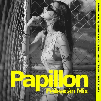 Papillon (Féileacán Mix) by DJ Hassella