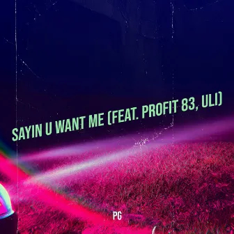 Sayin U Want Me by PG