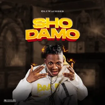 Sho Damo by Oluwacoded