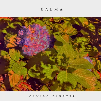 Calma by Camilo Zanetti