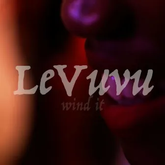 Wind It (feat. PrichA) by LeVuvu