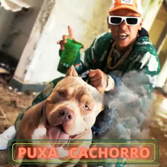 Puxa Cachorro