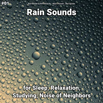 #01 Rain Sounds for Sleep, Relaxation, Studying, Noise of Neighbors by Rain Sounds to Fall Asleep To