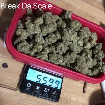 Break Da Scale by MLK DOOLE