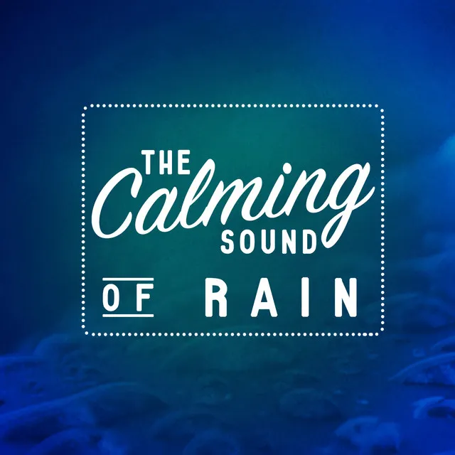 The Calming Sound of Rain