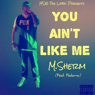 You Ain't Like Me by M.Sherm