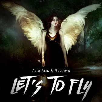 Let's to Fly by Alio Alik