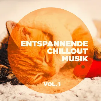 Entspannende Chillout-Musik, Vol. 1 by 