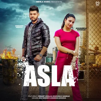 Asla by Manisha Sharma