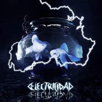 electricidad by Barder