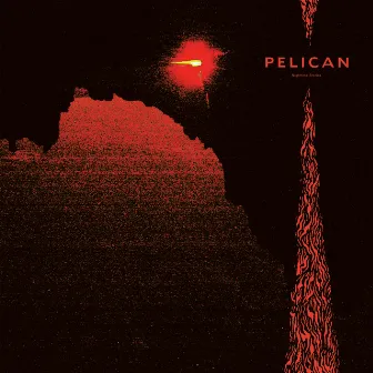 Nighttime Stories by Pelican