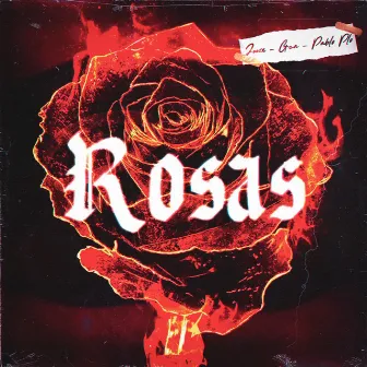 Rosas by Pablo Plo