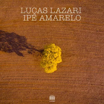 Ipê Amarelo by Lucas Lazari