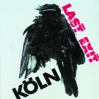 Köln by Last Exit