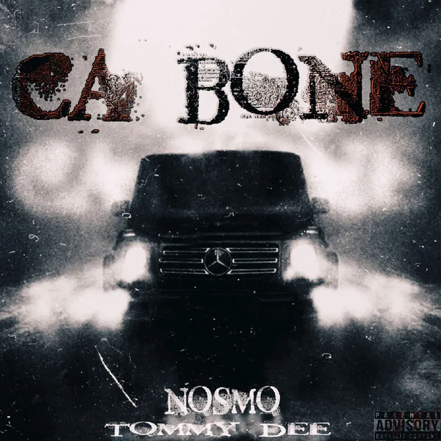 Ca Bone