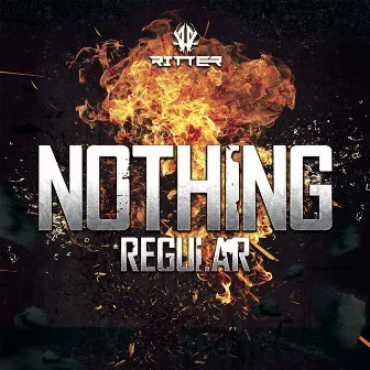 Nothing Regular by RITTER