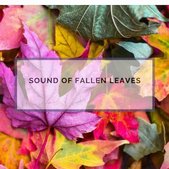 Sound of Fallen Leaves by 