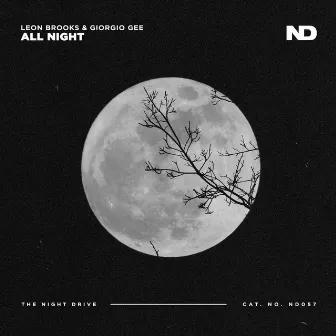 All Night by Leon Brooks