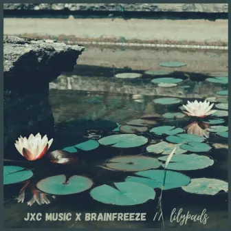 lilypads. by Brainfreeze Music