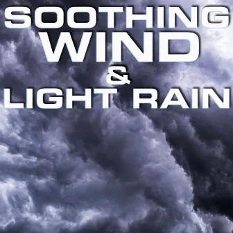 Soothing Wind & Light Rain by Premium Soundscapes