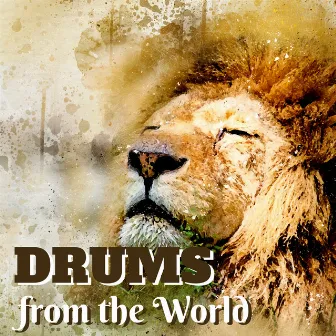 Drums from the World - African Ethnic Music, Percussion, Tribal African Tracks by Drums World Collective