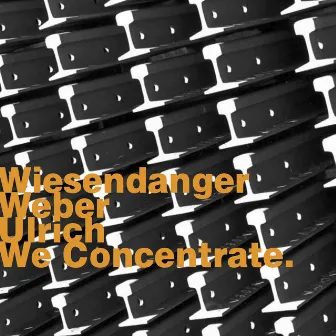 We Concentrate. by Chris Wiesendanger