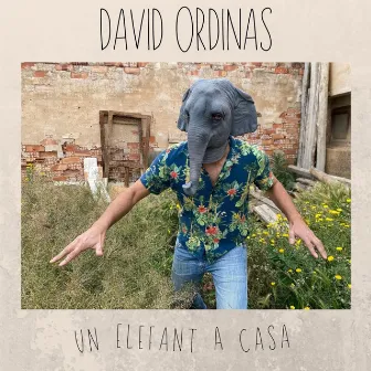 Un Elefant a Casa by David Ordinas