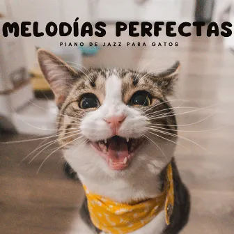 Melodías Perfectas: Piano De Jazz Para Gatos by Jazz suave saxofón instrumental