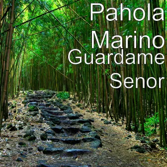 Guardame Senor by Pahola Marino