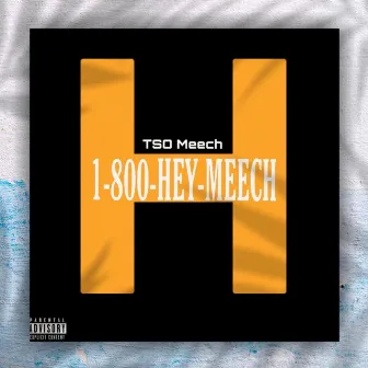 Hey Meech by TSO Meech