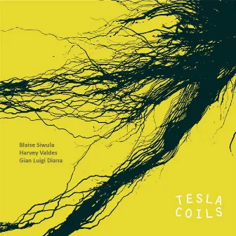 Tesla Coils by Harvey Valdes