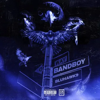 BluHawks by BANDBOY