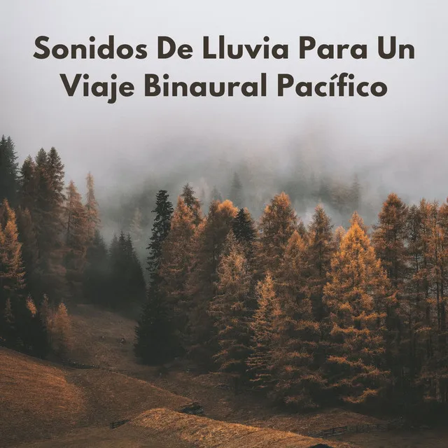 Sonidos De Lluvia Para Un Viaje Binaural Pacífico