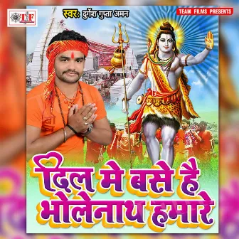 Dil Me Base Hai Bholenath Hamare by Unknown Artist