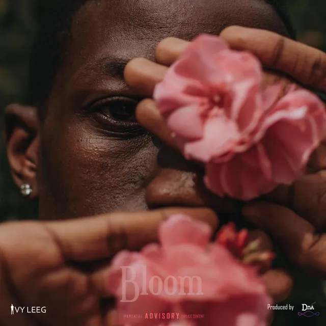 Bloom