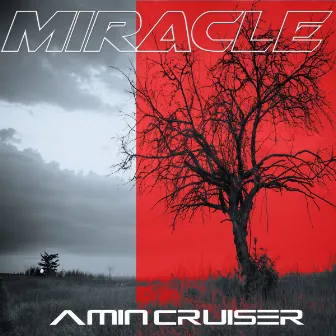 Miracle (Reprise De Julian Peretta) by Amin Cruiser