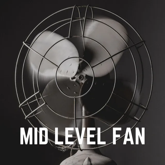 Mid Level Fan