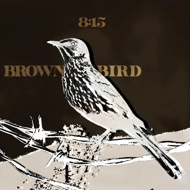 Brown Bird