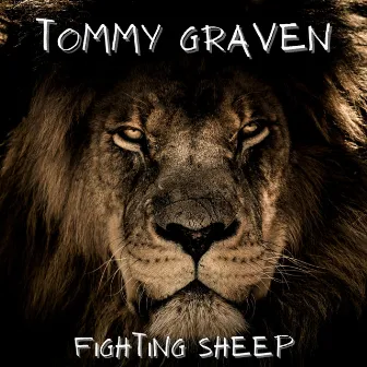 Fighting Sheep by Tommy Graven