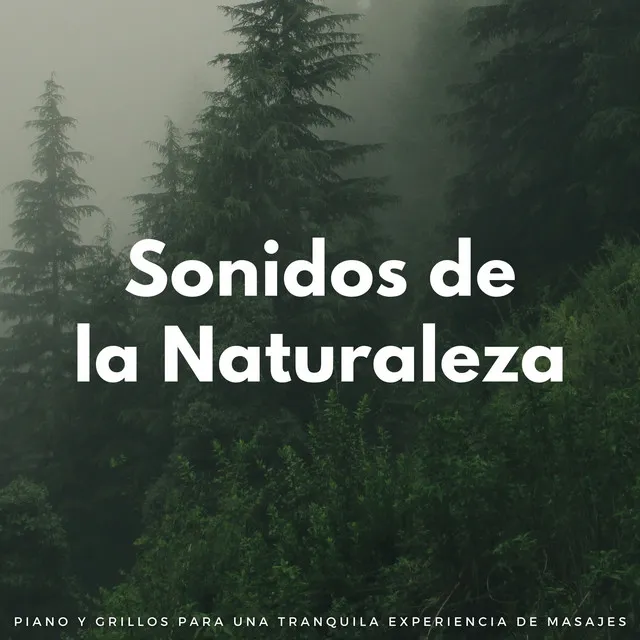 Experiencia De Masaje Relajante Con Sonidos De La Naturaleza