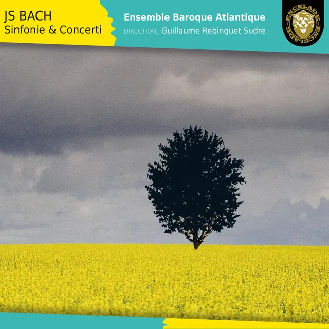 Concerto for 3 Violins in C Major, BWV 1096: II. Allegro - After Concerto for 3 Harpsichords, BWV 530