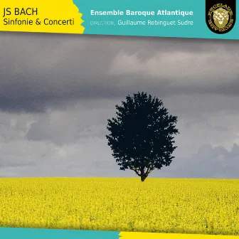 Bach: Sinfonie & Concerti by Guillaume Rebinguet-Sudre