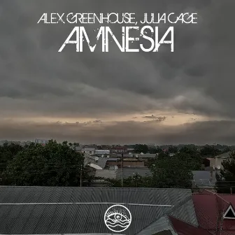 Amnesia by Alex Greenhouse