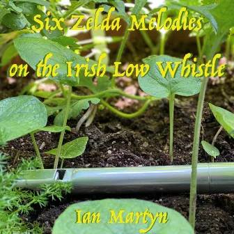 Six Zelda Melodies on the Irish Low Whistle by Ian Martyn